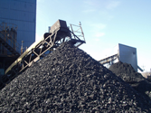 Potesta Coal at Buffalo